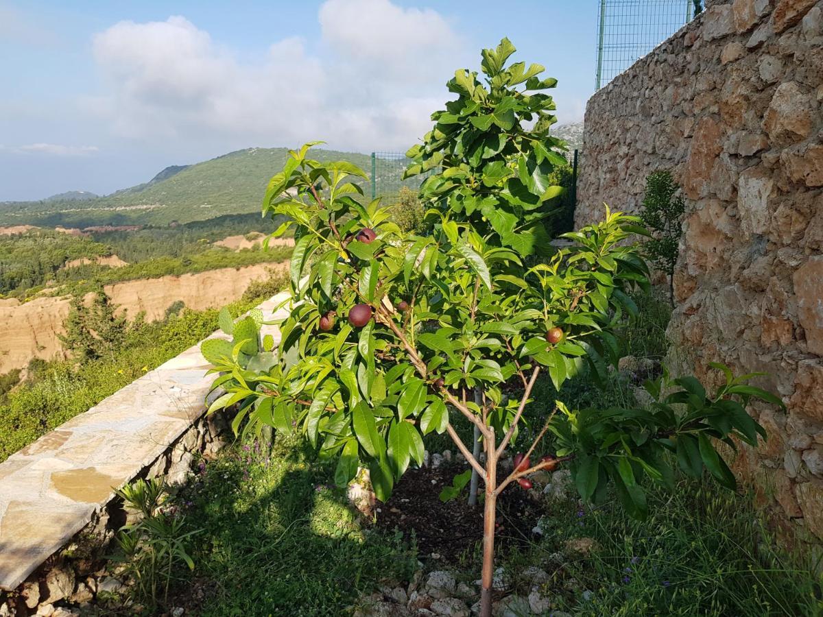 Vila Tatjana Pensionat Vuno Exteriör bild
